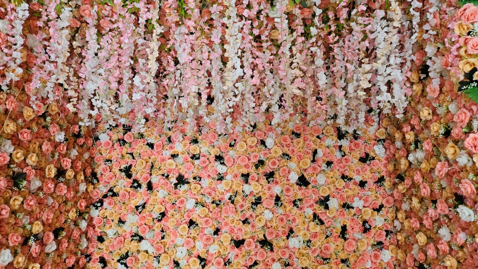 Close view of the flower wall showing rows of peach, cream and pink roses with trailing blossom above